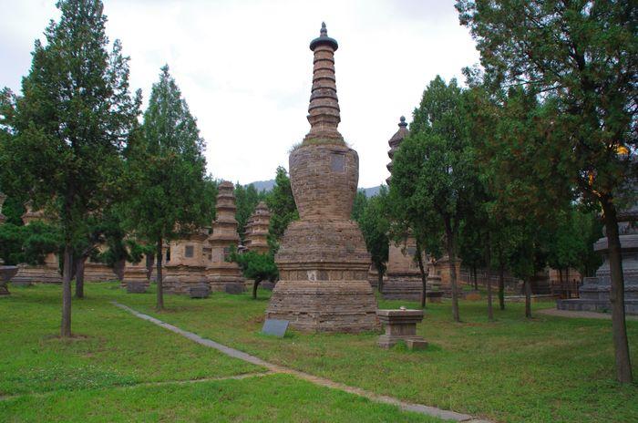 Pagoda Forest Luoyang